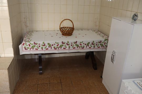Cozinha de casa para alugar com 1 quarto, 80m² em Quinta da Paineira, São Paulo