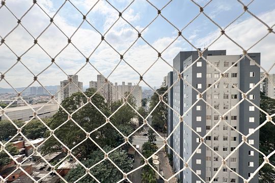 Vista do Quarto 1 de apartamento para alugar com 2 quartos, 53m² em Jardim Iris, São Paulo
