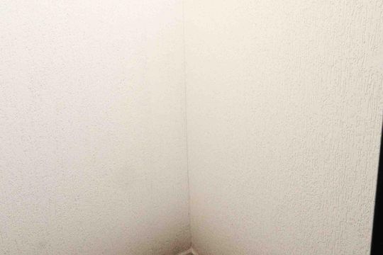 Apartamento para alugar com 2 quartos, 35m² em Vila Charlote, São Paulo
