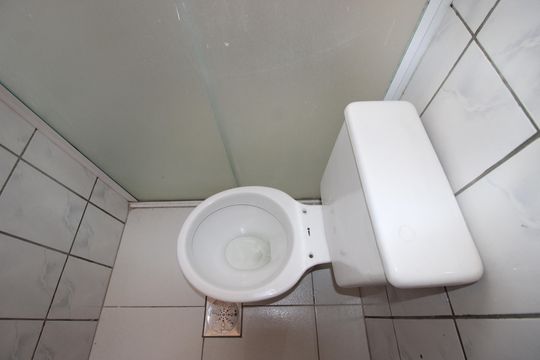 Banheiro de apartamento para alugar com 2 quartos, 51m² em Jardim Marilu, São Paulo