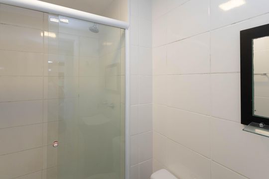 Banheiro  de apartamento para alugar com 2 quartos, 47m² em Parque Vitoria, São Paulo