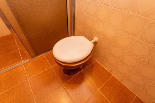 Banheiro de casa para alugar com 2 quartos, 80m² em Jardim Varginha, São Paulo
