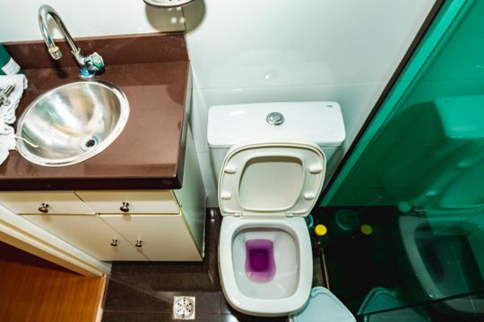 Banheiro de apartamento à venda com 2 quartos, 50m² em Dom Silverio, Belo Horizonte