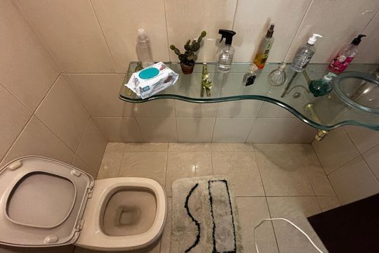 Lavabo de casa à venda com 4 quartos, 580m² em Vila Homero Thon, Santo André