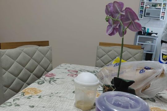 Sala de jantar de casa para alugar com 2 quartos, 115m² em Residencial Votorantim Park I, Votorantim