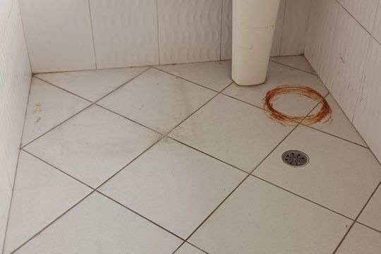 Área de serviço de casa para alugar com 3 quartos, 240m² em Vila Esperança, São Paulo