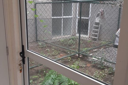 Apartamento para alugar com 2 quartos, 55m² em Vilar Novo, Belford Roxo
