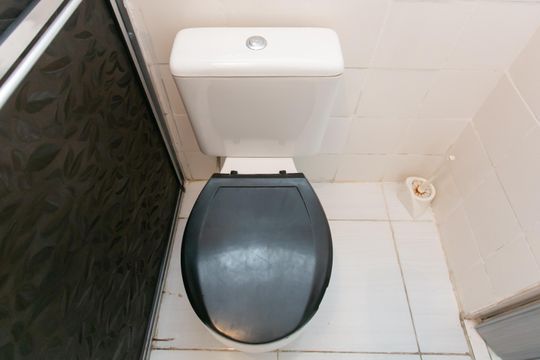 Banheiro  de casa para alugar com 2 quartos, 65m² em Jardim Norma, São Paulo
