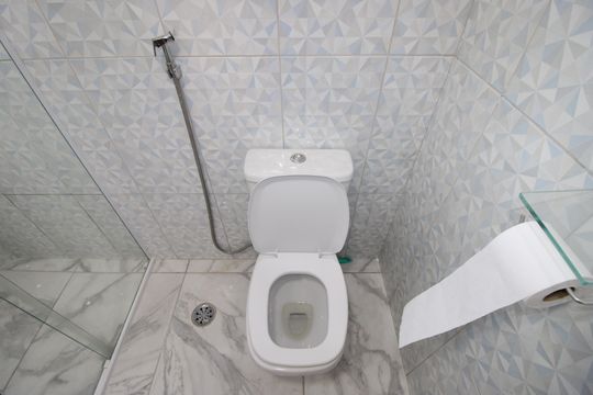 Banheiro de apartamento para alugar com 2 quartos, 46m² em Conjunto Residencial José Bonifácio, São Paulo