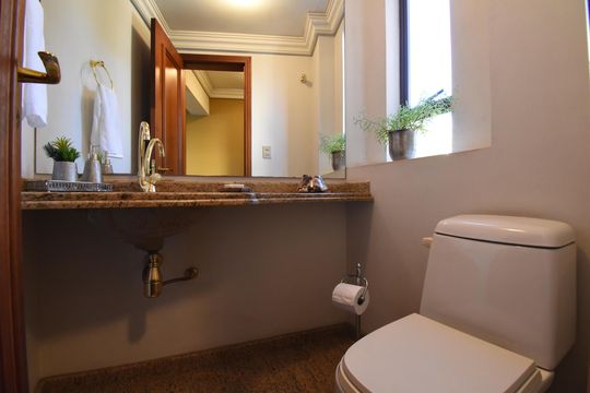 Lavabo de apartamento à venda com 3 quartos, 271m² em Batel, Curitiba