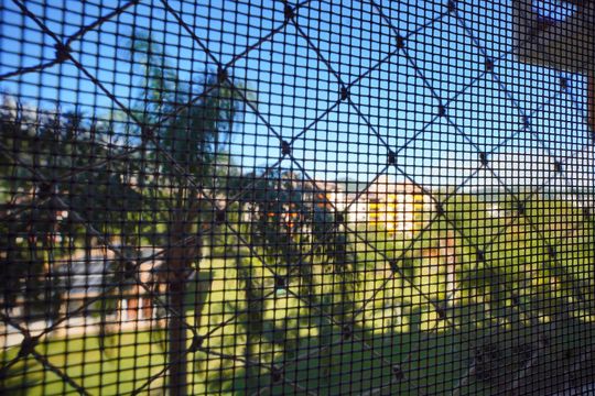 Vista da Suíte de apartamento para alugar com 2 quartos, 80m² em Saco Grande, Florianópolis