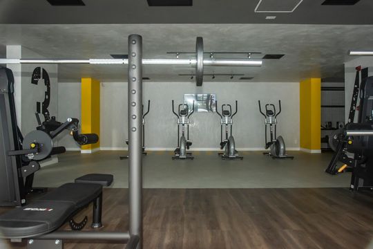 Área comum - Academia de apartamento para alugar com 2 quartos, 39m² em Planalto Paulista, São Paulo