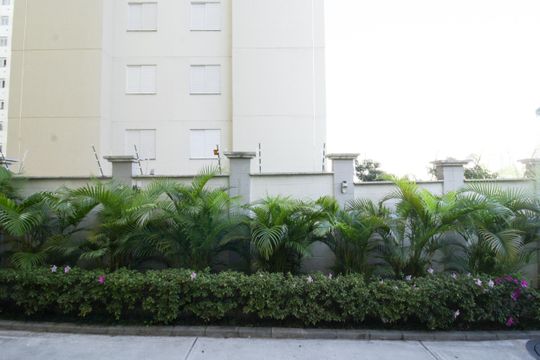 Vista do quarto de apartamento para alugar com 2 quartos, 44m² em Jardim Iris, São Paulo