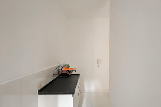 Cozinha  de apartamento para alugar com 2 quartos, 48m² em Vila Sao Geraldo, São Paulo
