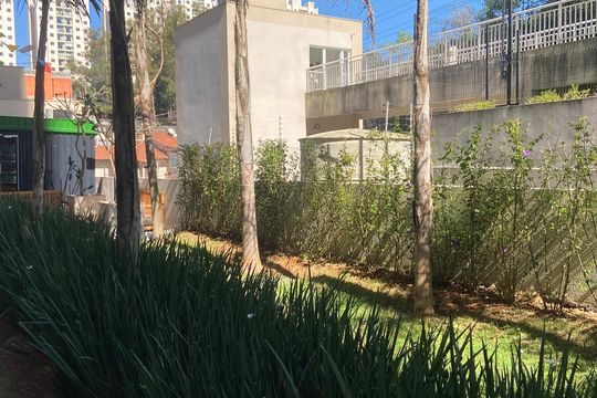 Área comum - Mercadinho de apartamento para alugar com 2 quartos, 32m² em Jardim Celeste, São Paulo