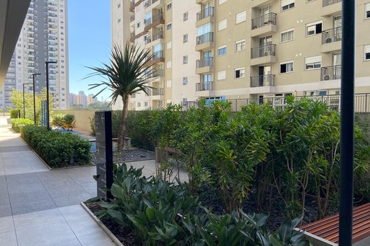 Áreas Comuns de apartamento para alugar com 1 quarto, 45m² em Vila Sonia, São Paulo