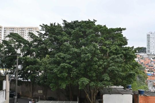 Vista do Quarto de apartamento à venda com 2 quartos, 61m² em Morumbi, São Paulo