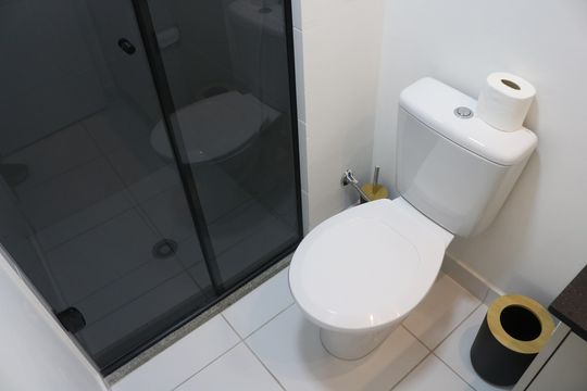 Banheiro de apartamento para alugar com 1 quarto, 25m² em Parque Industrial Tomas Edson, São Paulo