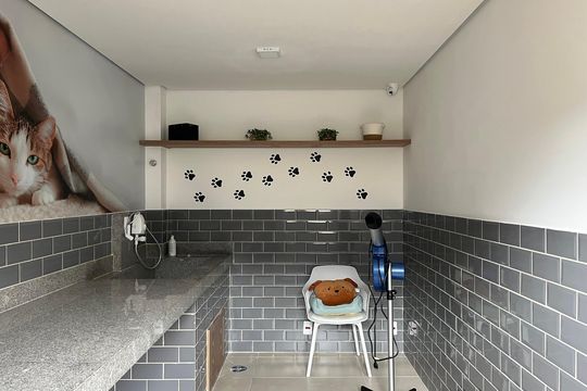 Área comum - Pet de apartamento para alugar com 1 quarto, 25m² em Parque Industrial Tomas Edson, São Paulo