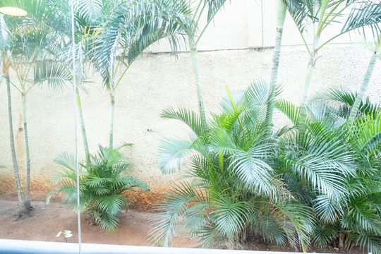 Vista da Varanda de apartamento para alugar com 2 quartos, 87m² em Jardim Ypê, Paulínia