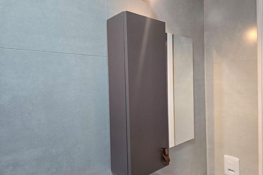 Banheiro Social de apartamento para alugar com 2 quartos, 60m² em Vila Progresso, Guarulhos