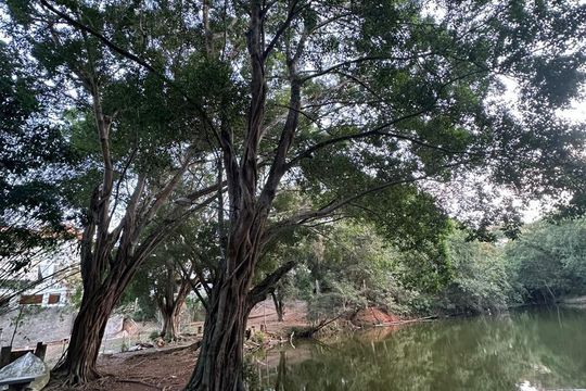 Casa de Condomínio para alugar com 3 quartos, 276m² em Sapê, Niterói