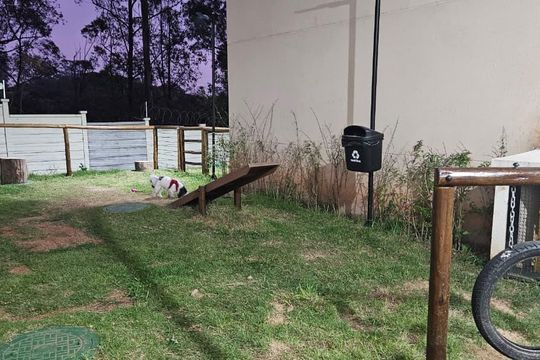 Área comum - Espaço Pet de apartamento para alugar com 2 quartos, 44m² em Jardim Helian, São Paulo