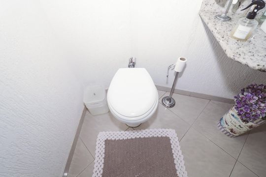 Lavabo de casa para alugar com 3 quartos, 300m² em Santa Teresinha, São Paulo