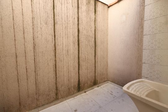 Área de Serviço de kitnet/studio para alugar com 1 quarto, 30m² em Vila Sao Geraldo, São Paulo