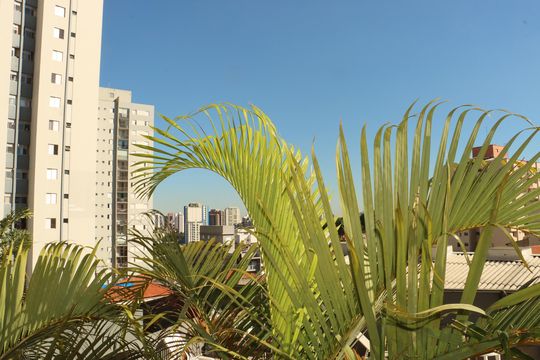 Apartamento à venda com 2 quartos, 53m² em Vila Santa Clara, São Paulo