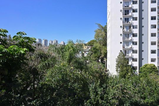 Vista do Quarto 2 de apartamento para alugar com 2 quartos, 52m² em Jardim Umarizal, São Paulo