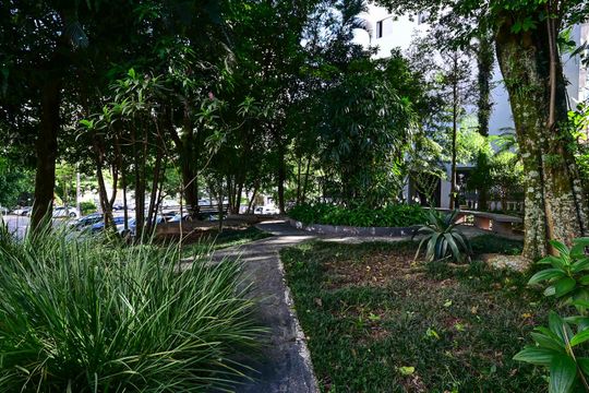 Jardim de apartamento para alugar com 2 quartos, 52m² em Jardim Umarizal, São Paulo