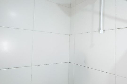 Banheiro da Suíte de apartamento para alugar com 1 quarto, 32m² em Jardim Caravelas, São Paulo