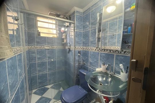 Banheiro 1 de apartamento à venda com 2 quartos, 50m² em Conjunto Residencial José Bonifácio, São Paulo