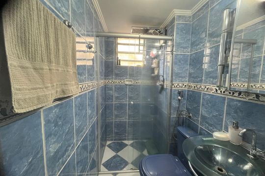 Banheiro 1 de apartamento à venda com 2 quartos, 50m² em Conjunto Residencial José Bonifácio, São Paulo