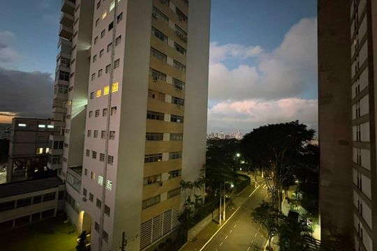 Vista de apartamento para alugar com 1 quarto, 40m² em Morro dos Ingleses, São Paulo