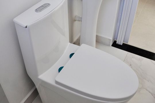 Detalhe - Banheiro Social de apartamento para alugar com 1 quarto, 25m² em Vila Zat, São Paulo