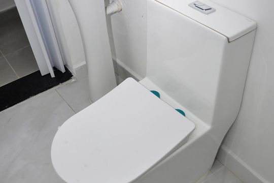 Apartamento para alugar com 1 quarto, 25m² em Vila Zat, São Paulo