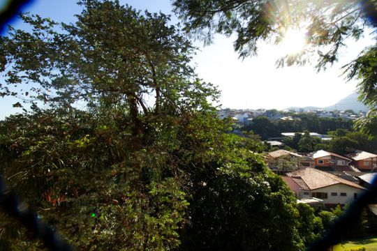 Vista do Quarto 1 de apartamento para alugar com 2 quartos, 46m² em Conjunto Residencial Vista Verde, São Paulo