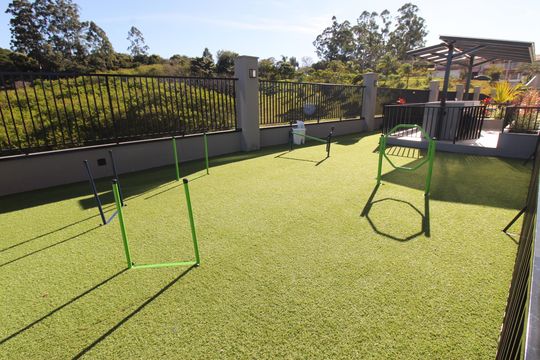 Área comum - Espaço Pet de apartamento para alugar com 3 quartos, 62m² em Conjunto Residencial Flamboyant, São José dos Campos