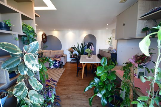 Sala de apartamento para alugar com 2 quartos, 73m² em Fazenda Santa Cândida, Campinas