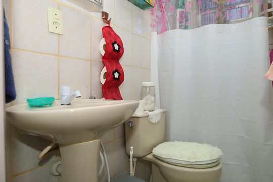 Banheiro de apartamento para alugar com 2 quartos, 47m² em Conjunto Habitacional Santa Etelvina Ii, São Paulo