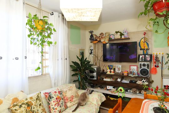 Sala de apartamento para alugar com 2 quartos, 47m² em Conjunto Habitacional Santa Etelvina Ii, São Paulo