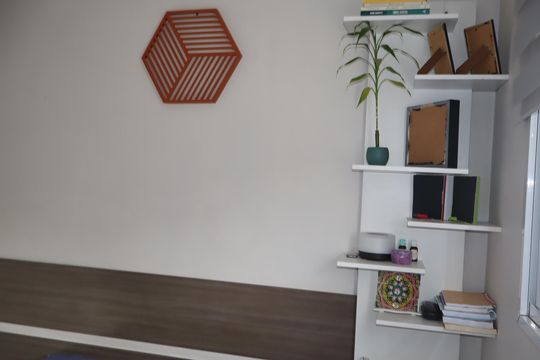 Apartamento à venda com 2 quartos, 44m² em Vila Alpina, São Paulo