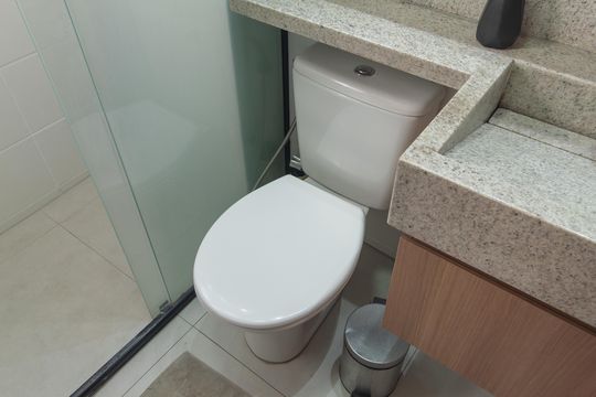 Banheiro da Suite de apartamento à venda com 2 quartos, 50m² em Conjunto Helena Antipoff, Belo Horizonte