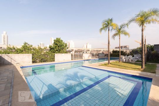 Piscina de apartamento para alugar com 3 quartos, 75m² em Jardim Aeroporto, São Paulo