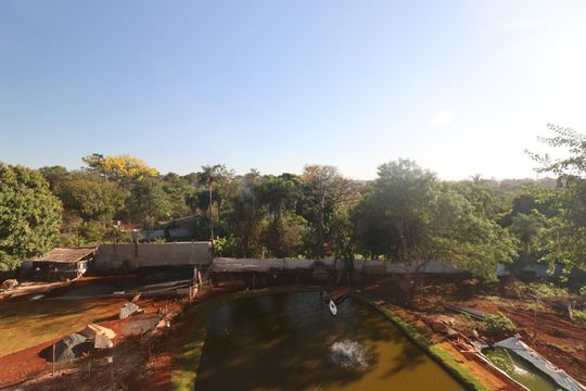 Vista de apartamento para alugar com 2 quartos, 48m² em Jardim Jose Sampaio Junior, Ribeirão Preto