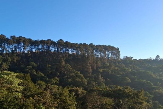 Vista de apartamento para alugar com 2 quartos, 45m² em Jardim Central, Cotia