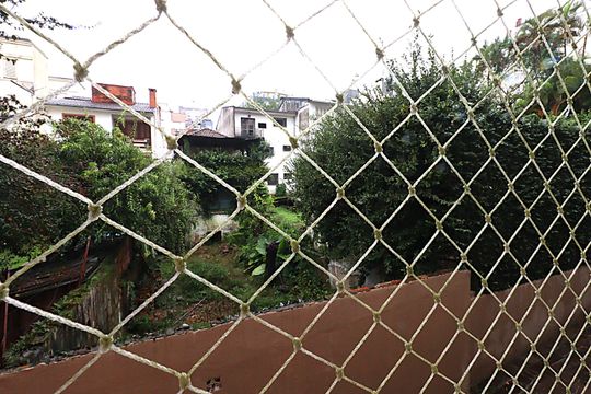 Vista da Sala de apartamento para alugar com 2 quartos, 70m² em Higienópolis, Porto Alegre