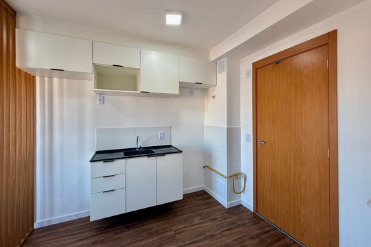 Cozinha  de apartamento para alugar com 1 quarto, 24m² em Vila das Belezas, São Paulo